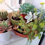 La Dimora Delle Divinita Дом отдыха Неаполь